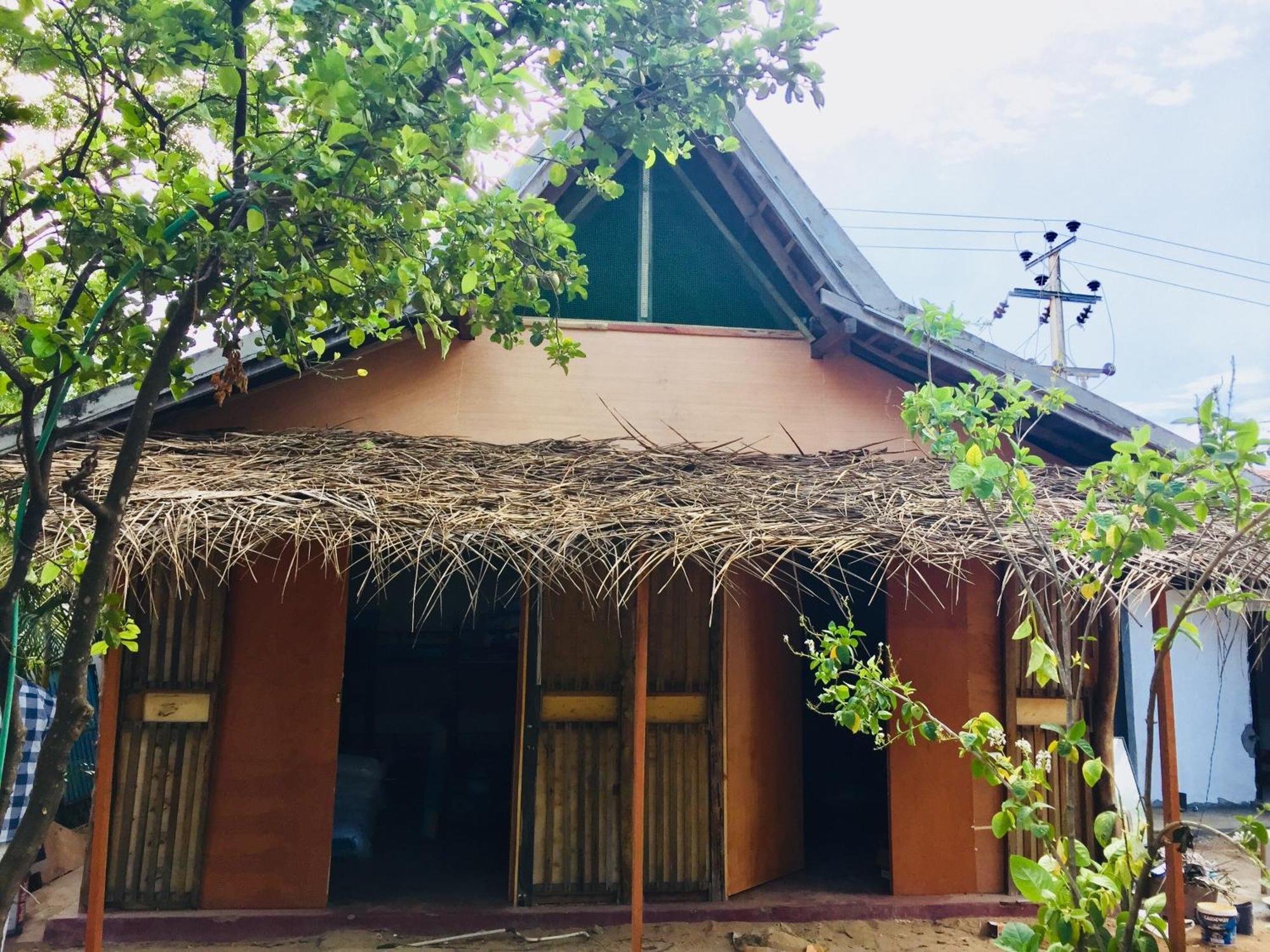 Lemon Tree Hostel Arugam Bay Exteriör bild