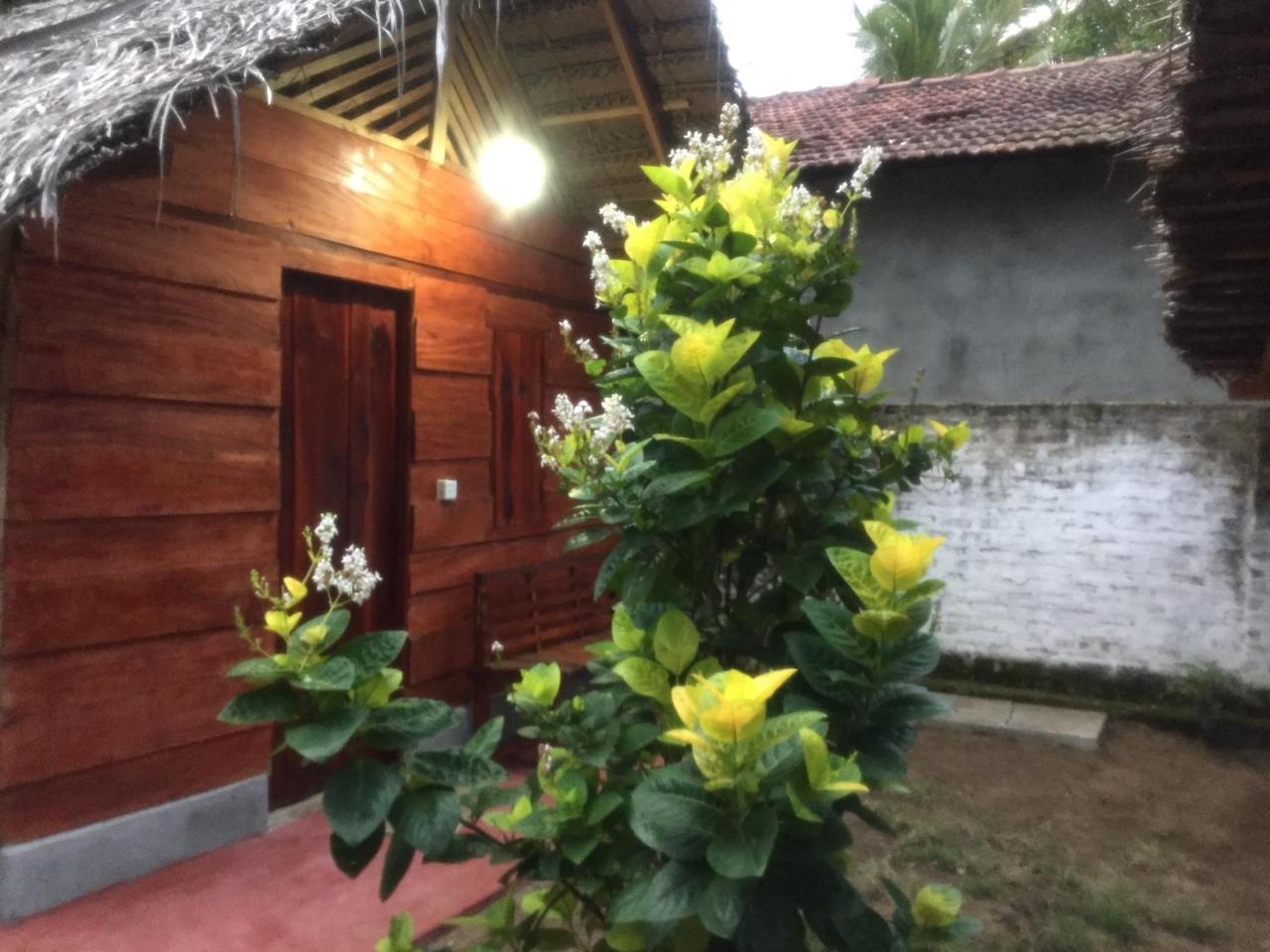 Lemon Tree Hostel Arugam Bay Exteriör bild